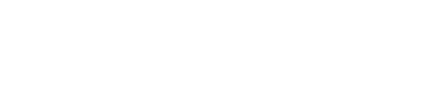 Snoonu Logo